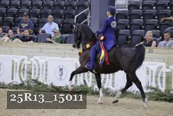 25R13_15011 thumbnail
