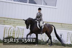 25R13_15012 thumbnail