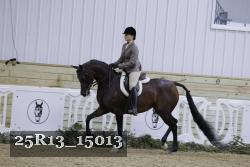 25R13_15013 thumbnail