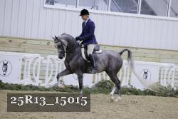 25R13_15015 thumbnail
