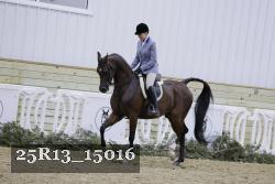 25R13_15016 thumbnail