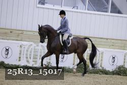 25R13_15017 thumbnail
