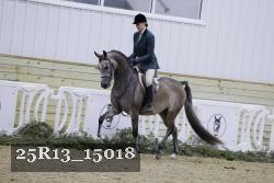 25R13_15018 thumbnail