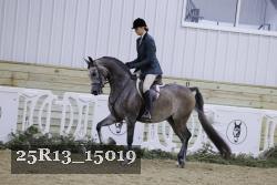 25R13_15019 thumbnail