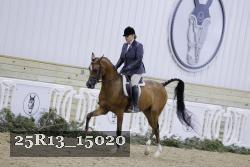 25R13_15020 thumbnail