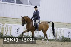 25R13_15021 thumbnail