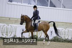 25R13_15022 thumbnail