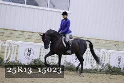 25R13_15023 thumbnail