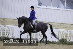 25R13_15025 thumbnail
