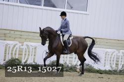 25R13_15027 thumbnail