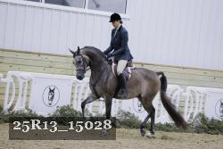 25R13_15028 thumbnail