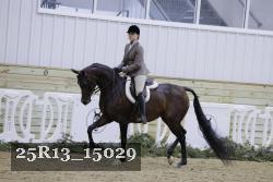 25R13_15029 thumbnail