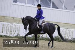 25R13_15030 thumbnail