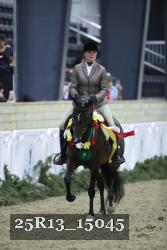 25R13_15045 thumbnail