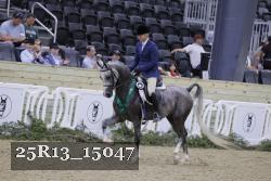 25R13_15047 thumbnail