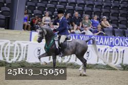 25R13_15050 thumbnail