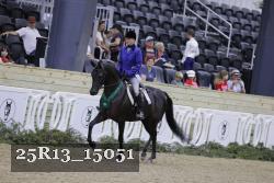 25R13_15051 thumbnail