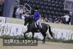 25R13_15052 thumbnail