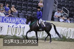 25R13_15053 thumbnail