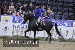 25R13_15054 thumbnail