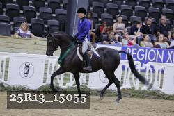 25R13_15055 thumbnail