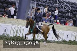 25R13_15058 thumbnail