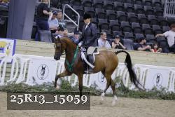 25R13_15059 thumbnail
