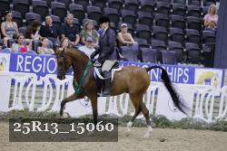 25R13_15060 thumbnail