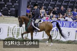 25R13_15061 thumbnail