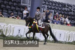 25R13_15063 thumbnail
