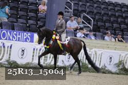 25R13_15064 thumbnail