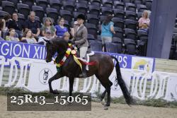 25R13_15065 thumbnail
