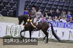 25R13_15066 thumbnail