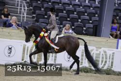 25R13_15067 thumbnail