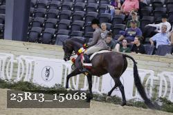 25R13_15068 thumbnail