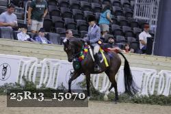 25R13_15070 thumbnail