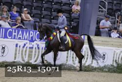 25R13_15071 thumbnail