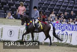 25R13_15072 thumbnail