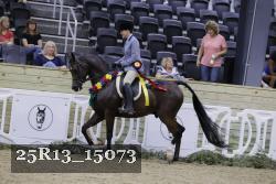 25R13_15073 thumbnail