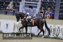 25R13_15074 thumbnail