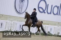 25R13_15075 thumbnail
