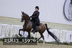 25R13_15076 thumbnail