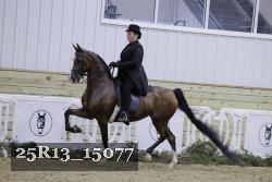 25R13_15077 thumbnail