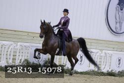 25R13_15078 thumbnail