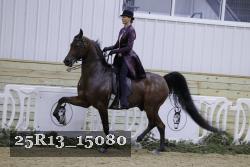 25R13_15080 thumbnail