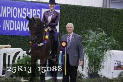 25R13_15088 thumbnail