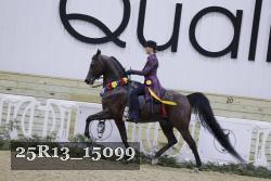 25R13_15099 thumbnail