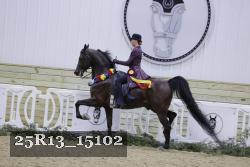 25R13_15102 thumbnail
