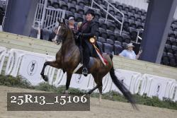 25R13_15106 thumbnail