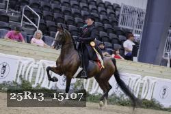 25R13_15107 thumbnail